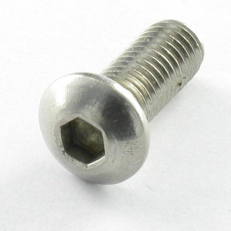 1 x Metallschrauben Flachrundschraube mit Innensechskant M6x10 Gesamtgewinde Klasse 10.9 Schraubenschlüssel 4 Verzinkt