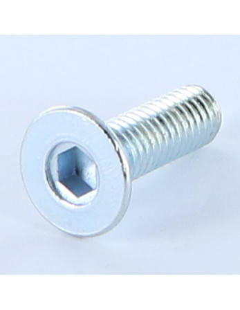 1 x Metallschrauben Innensechskant mit flachem...