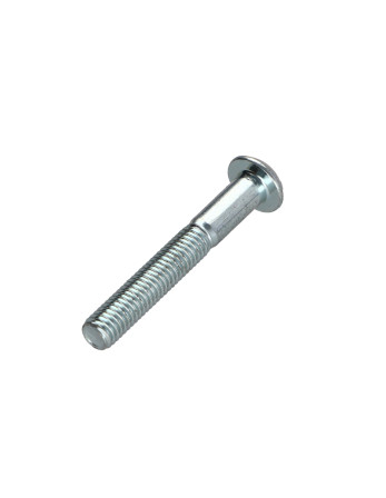 1 x Metallschrauben Flachrundschraube mit...