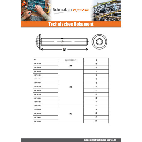 1 x Metallschrauben Flachkopf Kreuzschlitz mit Flansch T30 M6x25 Klasse 10.9 Verzinkt