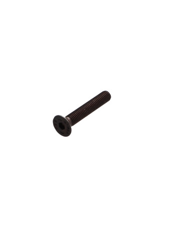 1 x Metallschrauben Innensechskant mit flachem...