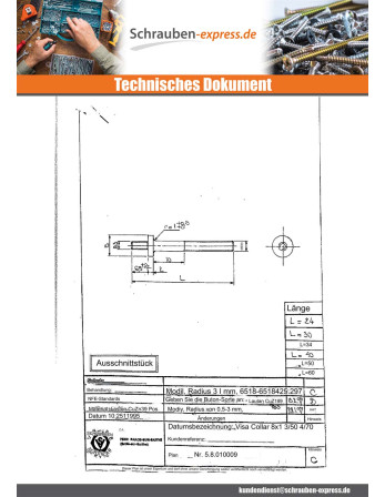 1 x Schraube Kreuzschlitz Messing 8x24 P 3/50...