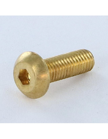 1 x Metallschrauben Flachrundschraube mit...