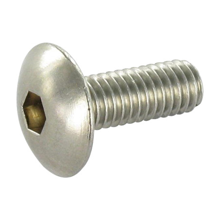 1 x Metallschrauben Flachrundkopfschraube Schraubenschlüssel 4 M6x20 Edelstahl