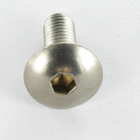 1 x Metallschrauben Flachrundkopfschraube Schraubenschlüssel 4 M6x20 Edelstahl