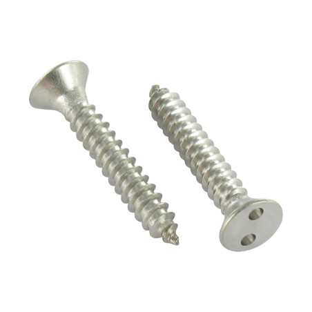 1 x Blechschraube Sichere Senkkopfschraube SNAKE EYES 4,8 x 38 Edelstahl A2