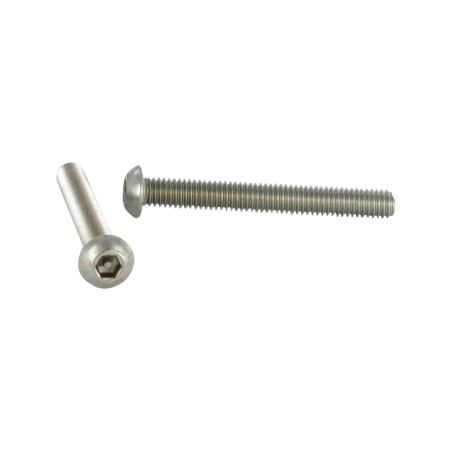 1 x Metallschrauben Sichere Flachrundschraube mit Innensechskant mit Zapfen M3X16 Edelstahl A2 Mikroschrauben