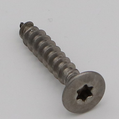1 x Spanplattenschrauben Senkkopfschraube T25 6x20 Gesamtgewinde Edelstahl A2
