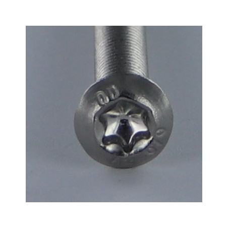 1 x Metallschrauben Kopf Flachkopf T55 M12x50 Gesamtgewinde Edelstahl A2