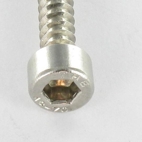 1 x Blechschraube Innensechskantschraube Edelstahl A2 4,8 x 32