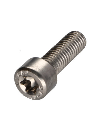 1 x Metallschrauben Zylindrischer Flachkopf T50...