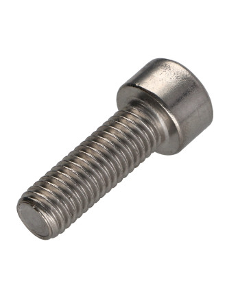 1 x Metallschrauben Zylindrischer Flachkopf T50...