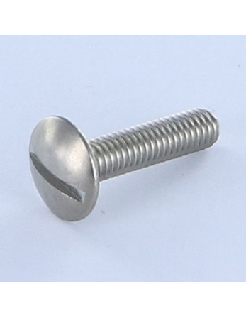 1 x Schraube Flachrundkopfschraube Gespalten...