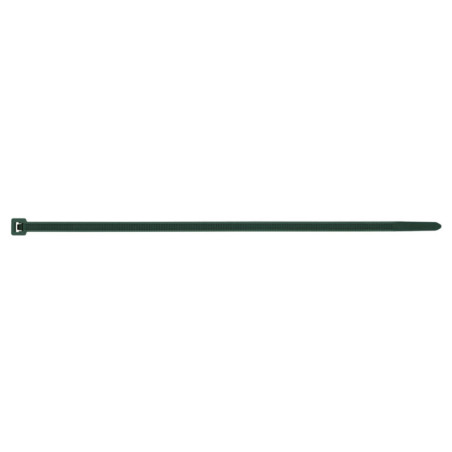 1 x Schlauchschelle Nylon Grün 3,6 x 200