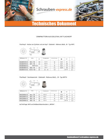 1 x Blindnietmuttern Edelstahl Flachkopf...