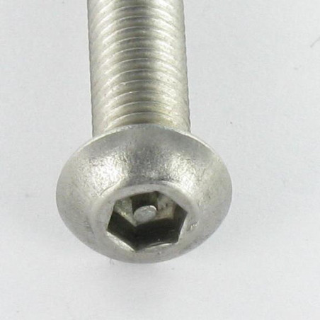 1 x Metallschrauben Sichere Flachrundschraube mit Innensechskant mit Zapfen M3X6 Edelstahl A2 Mikroschrauben
