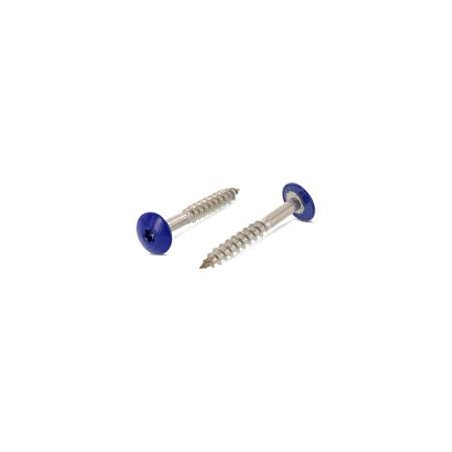 1 x Schraube für Fassade T20 4,8 x 32 Kopf-Durchmesser 12.3 Edelstahl A2 RAL5002