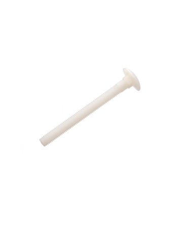 1 x Schlossschrauben M6x25 natürlich nylon