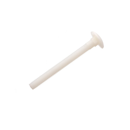 1 x Schlossschrauben M6x25 natürlich nylon