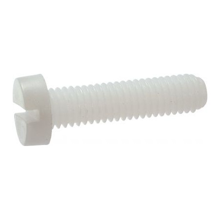1 x Metallschrauben Breiter zylindrischer Halbrundkopf Gespalten M6X30 natürlich nylon