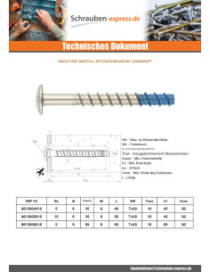 Betonschraube Kopf Flachkopf TORX T30 6X50 Bimetall 2