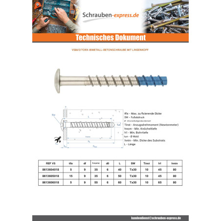 1 x Betonschraube Kopf Flachkopf TORX T30 6X50 Bimetall