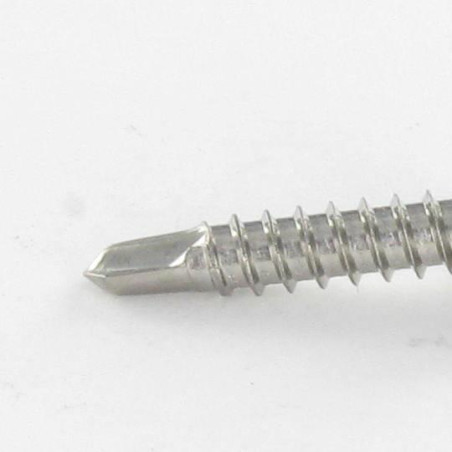 1 x Selbstbohrende Schrauben Zylindrischer Halbrundkopf T20 4,2 x 19 T20 Edelstahl A2