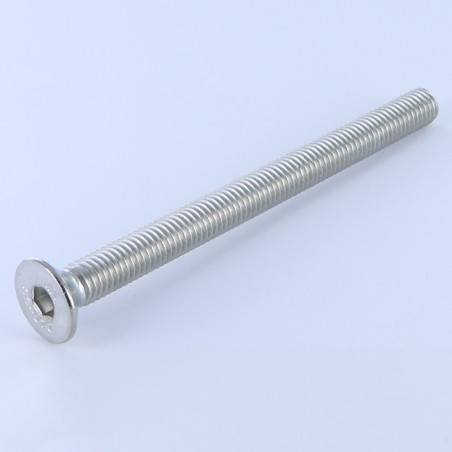 1 x Metallschrauben Innensechskant mit flachem Kopf Schraubenschlüssel 4 M6x100 Gesamtgewinde Edelstahl A4