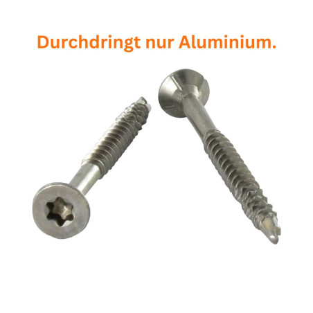 1 x Spanplattenschrauben Selbstbohrende Schrauben Senkkopfschraube Gezahnt 5x50 T25 Edelstahl A2