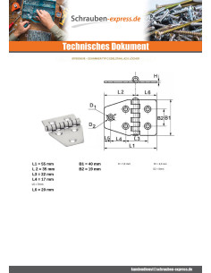 Scharnier Type C 5 Loch Edelstahl A2 55x40 2