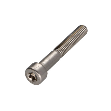1 x Metallschrauben Zylindrischer Flachkopf T30 Edelstahl A2 M6X40 Mit Gewinde 24