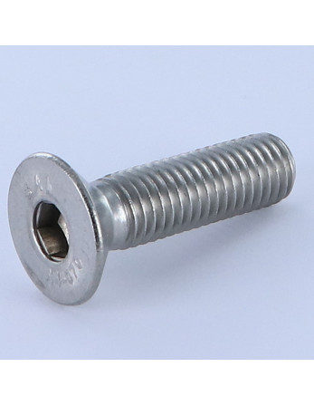 1 x Metallschrauben Innensechskant mit flachem...