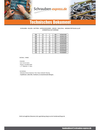 1 x Spitze Klemmen 4 NIEDERLASSUNGEN M6x16...