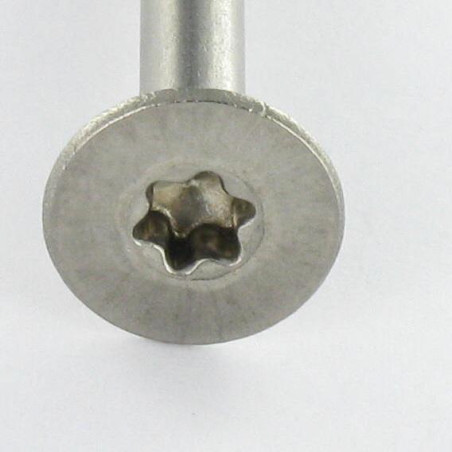1 x Spanplattenschrauben Edelstahl A2 Senkkopfschraube 6X55 Mit Gewinde 36 T25