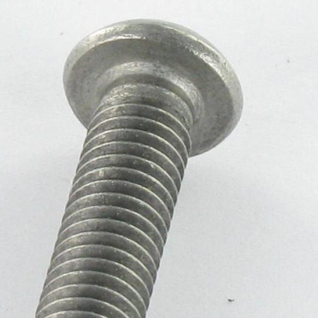 1 x Metallschrauben Edelstahl A2 Sichere Flachkopf TORX T45 mit Zapfen M10x30