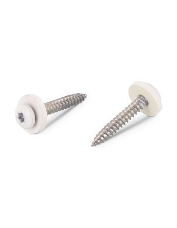 1 x Blechschraube Zylindrischer Flachkopf T15 +...