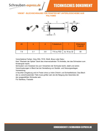 1 x Blechschraube Zylindrischer Flachkopf T15 +...