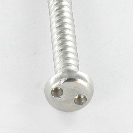 1 x Blechschraube Sichere Zylindrischer Flachkopf SNAKE EYES 4,2 x 38 Edelstahl A2