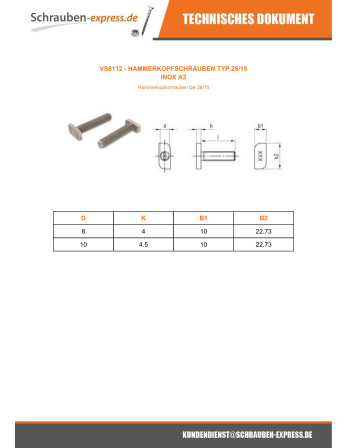 1 x Metallschrauben Hammerkopf 10x22,73x4...