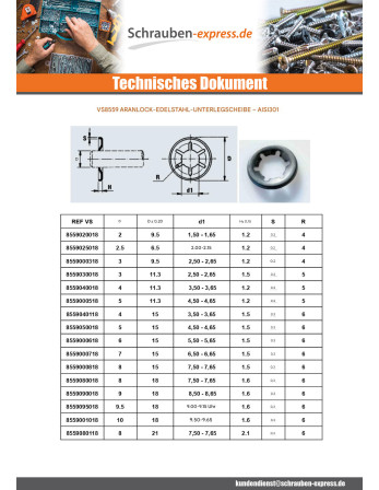 1 x Lock washer ARANLOCK 12x21x0,3 Edelstahl