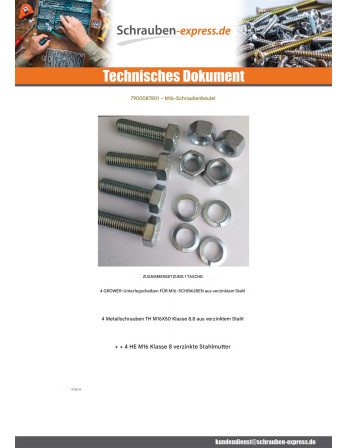 1 x Tüte 4 Metallschrauben Sechskantkopf M16X50...