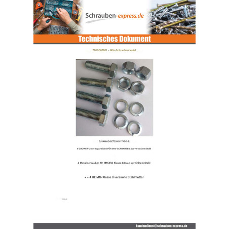 1 x Tüte 4 Metallschrauben Sechskantkopf M16X50 4 Muttern 4 Scheiben/Unterlegscheibe Federringe