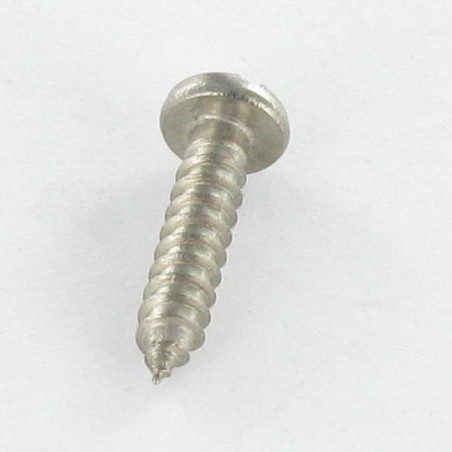 1 x Blechschraube Edelstahl A2 Zylindrischer Flachkopf Gespalten 3,9 x 9,5