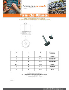 Verstellbarer Nivellierfuß M6x16 Kopf-Durchmesser 20 2