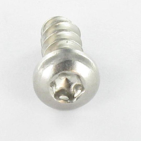 1 x Schraube für Kunststoff breitem gewölbtem kopf 5x12 T20 Edelstahl A2 Kopf-Durchmesser 9,5