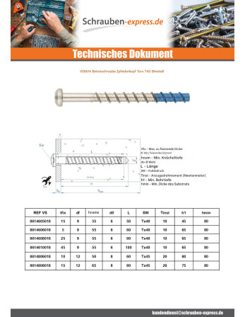 1 x Betonschraube Zylindrischer Flachkopf T40...