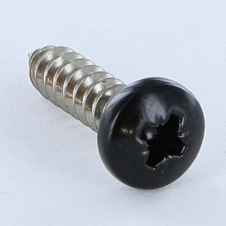1 x Blechschraube Edelstahl A2 breitem gewölbtem kopf Pozi 4,8 x 19 RAL9005 tiefschwarz