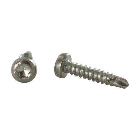 1 x Selbstbohrende Schrauben Zylindrischer Flachkopf T15 3,9 x 19 Edelstahl A4