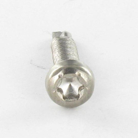1 x Selbstbohrende Schrauben Zylindrischer Flachkopf T15 3,9 x 19 Edelstahl A4