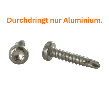 1 x Selbstbohrende Schrauben Zylindrischer Flachkopf T15 3,9 x 19 Edelstahl A4